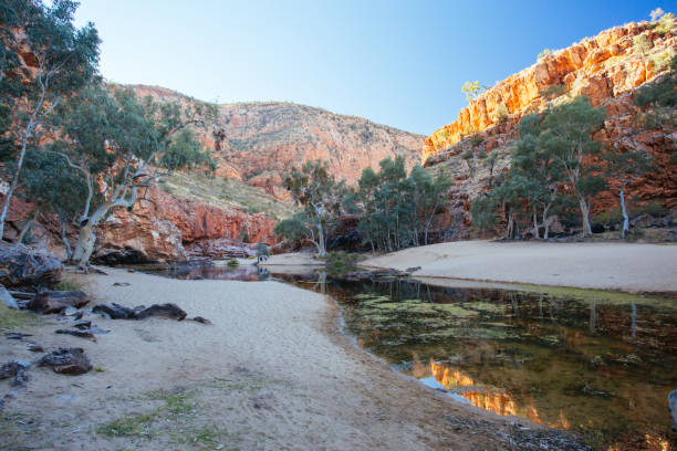 istock Ormiston Gorge in Northern Territory Australia 1254571971