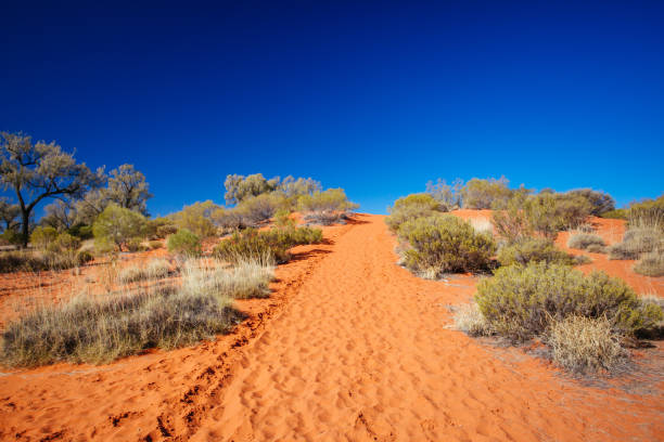 istock Outback Landscape in Northern Territory Australia 1254571984