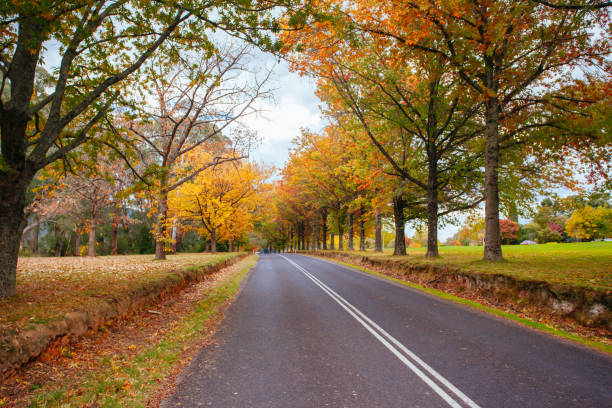 istock Khancoban in New South Wales Australia 1254572028