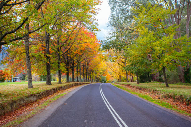 istock Khancoban in New South Wales Australia 1254572029