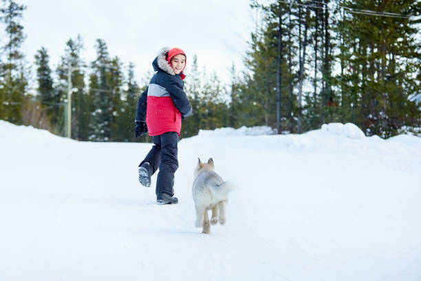 istock Come catch me doggy 1254574625