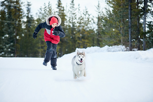 Shot of a boy playing with his pet husky dog in the snow outdoors on a cold winter day