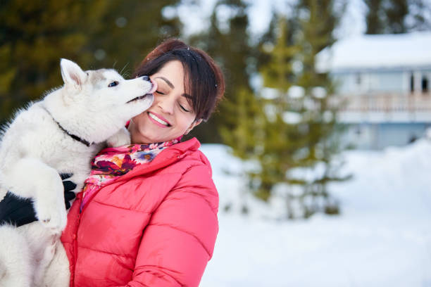 Shot of a husky dog licking a smiling woman's face outdoors on a winter day