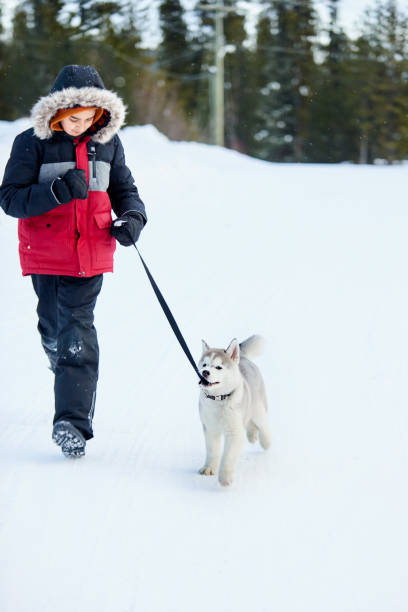 istock Boy running this his pet in snow 1254574897