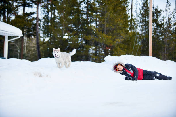 istock Playing hide and seek with his pet 1254575006