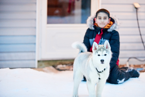 Shot of a pet husky dog outdoors with a bot in background on a winter day