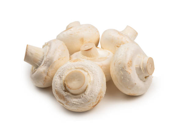 istock Champignon mushroom isolated on white background. 1254575774