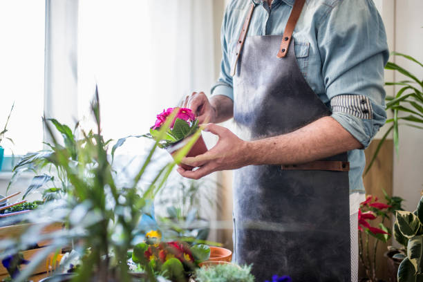 istock Taking good care of my plants 1254576430