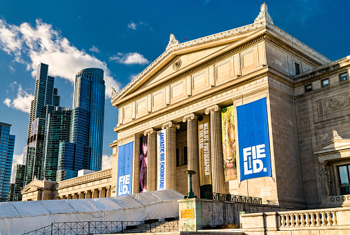 Field Museum of Natural History in Chicago - Illinois, United States