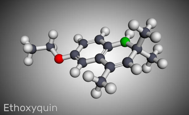istock Ethoxyquin, EMQ,  antioxidant  E324 molecule. It is a quinoline used as a food preservative. Molecular model. 3D rendering 1254578931