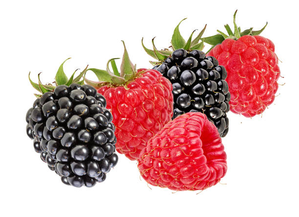 istock Blackberries and raspberries isolated on white background with clipping path 1254579053