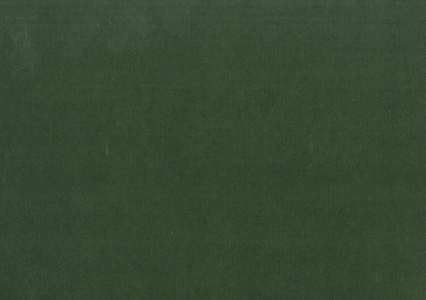 istock Green color, fabric background texture 1254581230