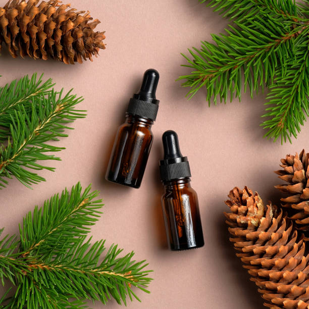istock Brown glass dropper bottles mockup with pine tree branches and cones. Natural organic cosmetics, conifer essential oils. Flat lay, top view. 1254581628