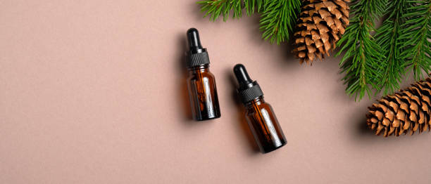 Bottles of conifer essential oil on neutral background with pine tree branches and cones. Natural organic cosmetic for hair care. Beauty blog banner mockup.