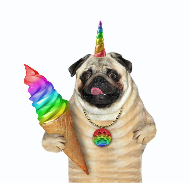 istock Pugicorn holds rainbow ice cream 1254584846