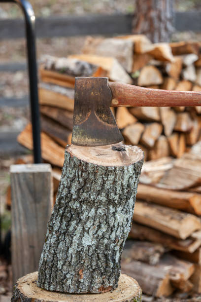 istock Ax splitting log for firewood 1254585671
