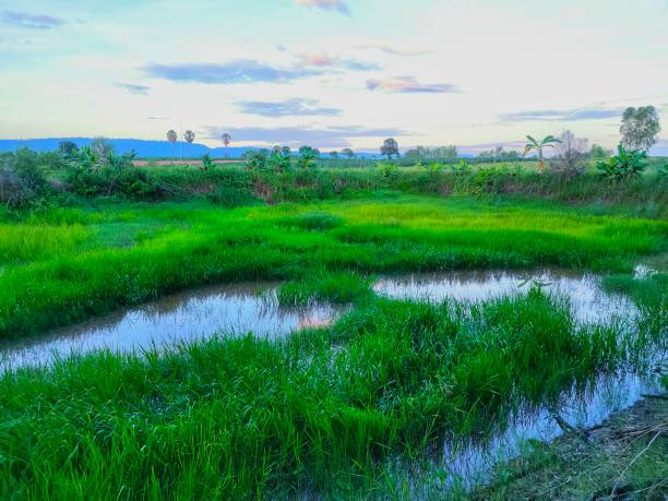 istock The small tarn with green color 1254585717