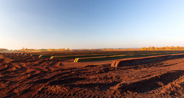 독일 북서부에 있는 잘라낸 토탄의 행 - peat moss 이미지 뉴스 사진 이미지