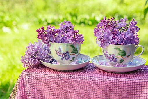 Two porcelain cups with lilacs in the garden