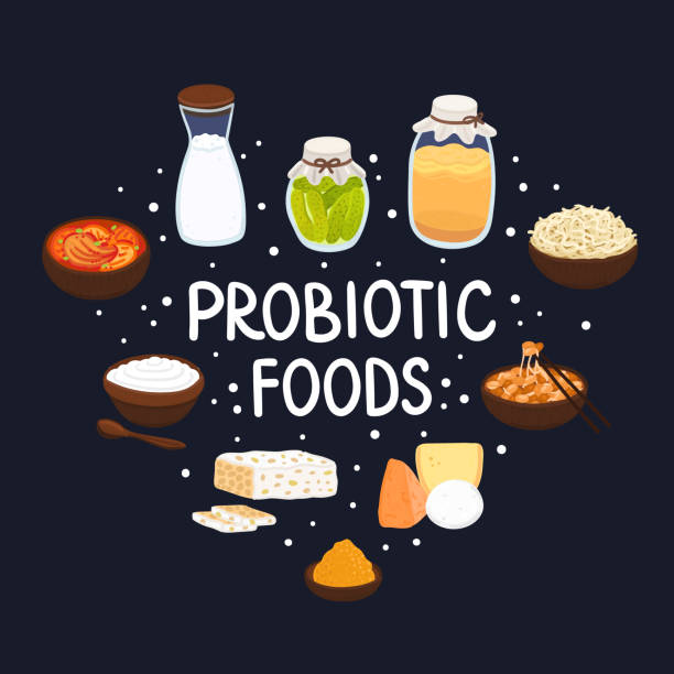 Vector probiotic foods. Best sources of probiotics. Beneficial bacteria improve health. Design is for label, brochure Vector probiotic foods. Best sources of probiotics. Beneficial bacteria improve health. Design is for label, brochure, menu, poster, advertising banner, article about diets, healthy proper nutrition kombucha jar stock illustrations
