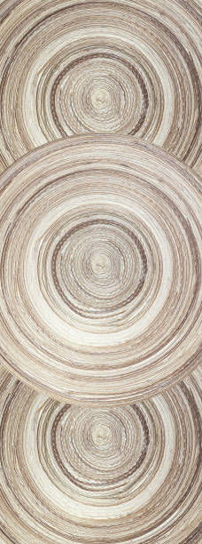 istock Vertical banner with circular textured background. Three abstract compressed bamboo disks. Unusual swirl spiral pattern 1254589197