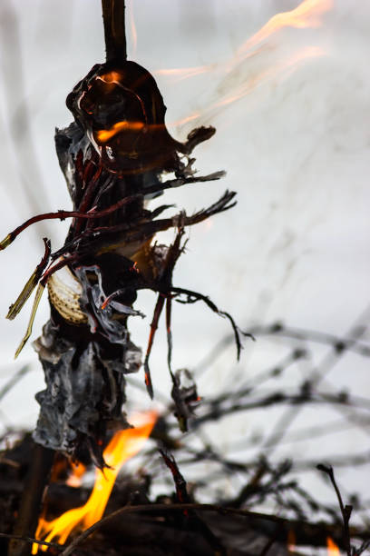 istock Pagan burning of a small doll, magic ritual close-up 1254591340