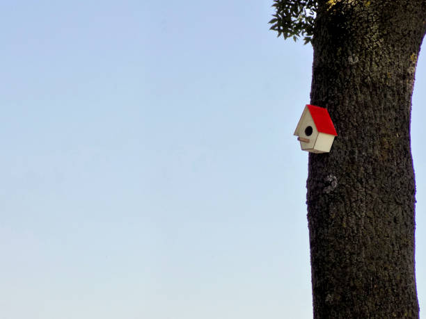 istock Home, sweet home - birdhouse on the tree trunk 1254593371
