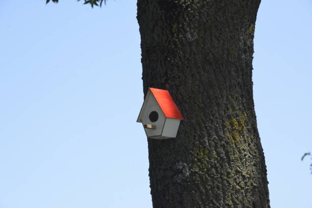 istock Home, sweet home - birdhouse on the tree trunk 1254593391