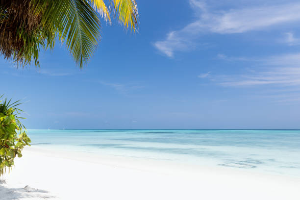 Beautiful nature and white sandy beach on Maldives island, perfect getaway for your vacations