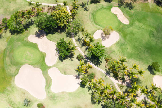 istock Aerial view from drone on golf field 1254594908