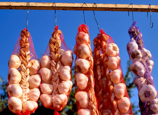 venta de ajo en un mercado de agricultores - garlic hanging string vegetable fotografías e imágenes de stock