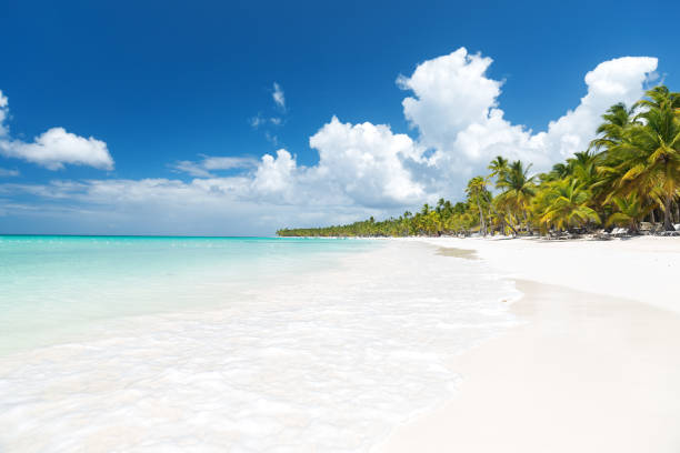 istock White sandy beach with sea and palms 1254595690