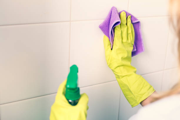 istock Concept of housekeeping and hygiene, 1254595830