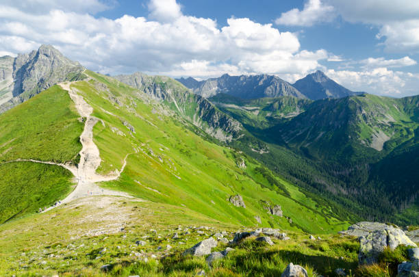 istock Trail in the Tatras Mountains 1254596808