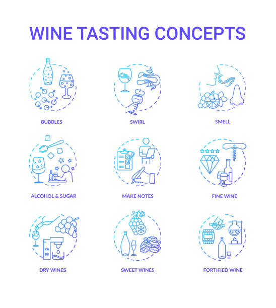 zestaw ikon koncepcyjnych degustacji wina. ocena jakości napojów, degustacja napojów alkoholowych, pomysł na winiarnie cienką linią ilustracji kolorystycznych rgb. wektor izolowane rysunki konspektu - dark blue grapes stock illustrations