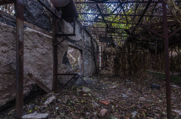 istock wall in an old house 1254598887
