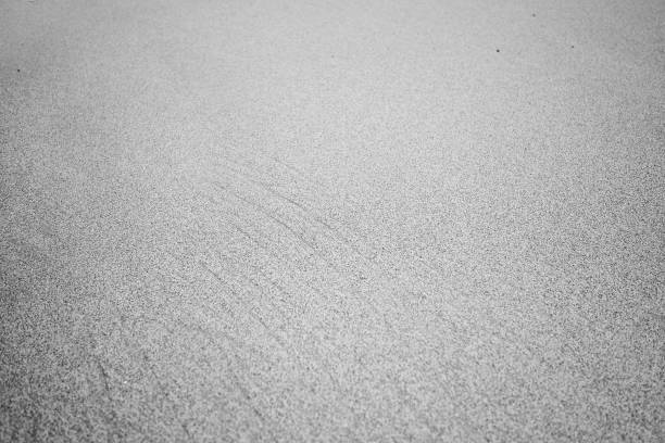 istock Los conejos. Beach in La Graciosa Island 1254605369