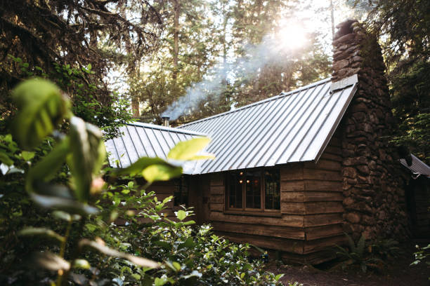 A beautiful isolated log cabin in the woods in the Pacific Northwest.  Shot in Washington state, USA.