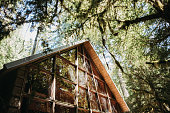 istock Rustic Cabin Retreat In The Forest With Large Bay Windows 1254608470
