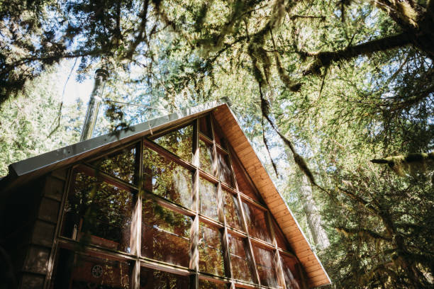 Rustic Cabin Retreat In The Forest With Large Bay Windows A beautiful isolated log cabin in the woods in the Pacific Northwest.  Shot in Washington state, USA. timber framed stock pictures, royalty-free photos & images