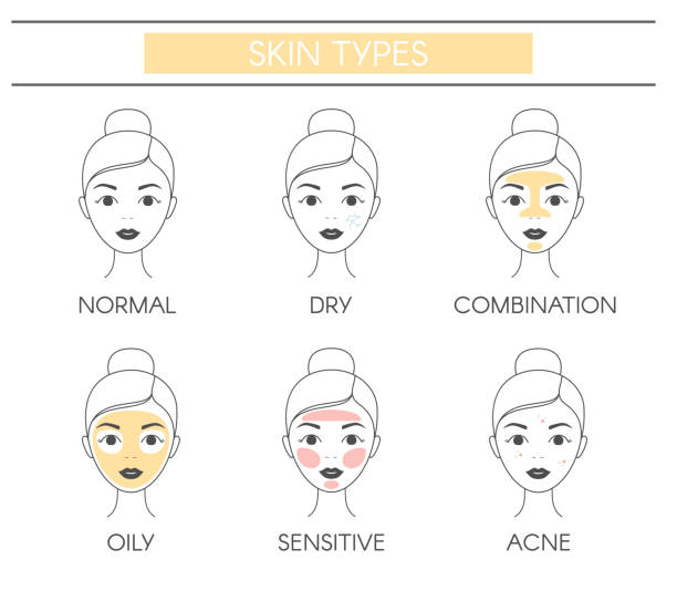 illustrations, cliparts, dessins animés et icônes de types de peau de base normal, sec, combiné, huileux, sensible et l’acné. ligne d’éléments vectoriels sur un fond blanc. - caractéristique dermatologique