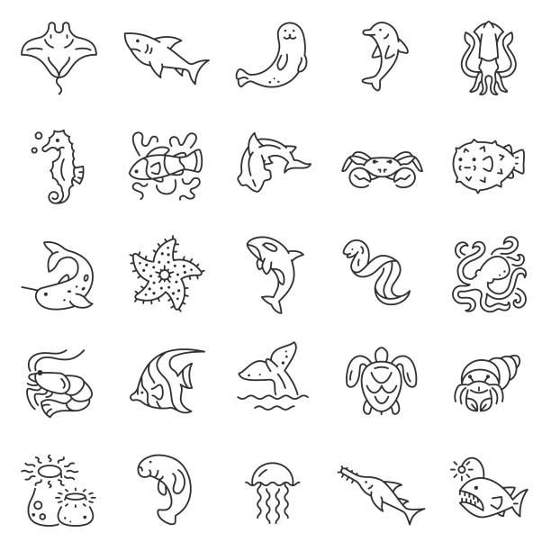 Marine creatures, icon set. Fauna of ocean and sea, linear icons. Editable stroke Marine creatures, icon set. Fauna of ocean and sea, linear icons. Line with editable stroke narwhal stock illustrations