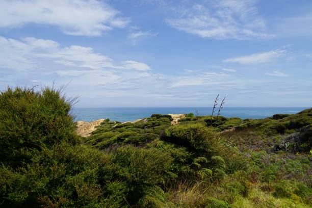 istock Arai te Uru Recreation Reserve panorama view over landscape and ocean 1254611421