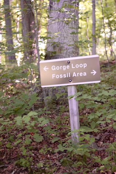 istock Brown and White Trail Sign 1254614678