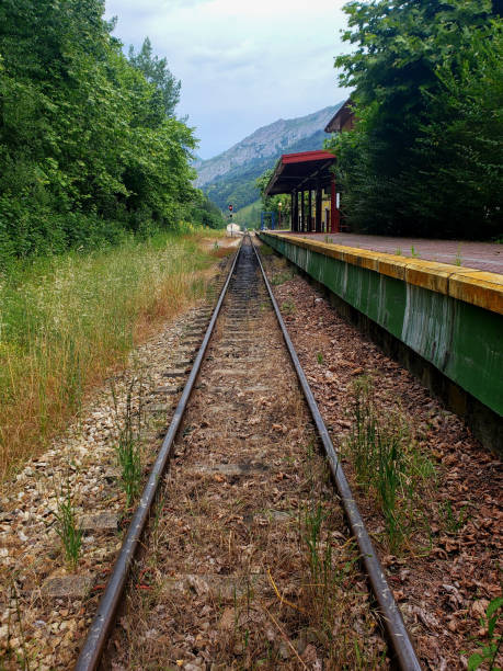 istock Old railway station with vegetation 1254624484