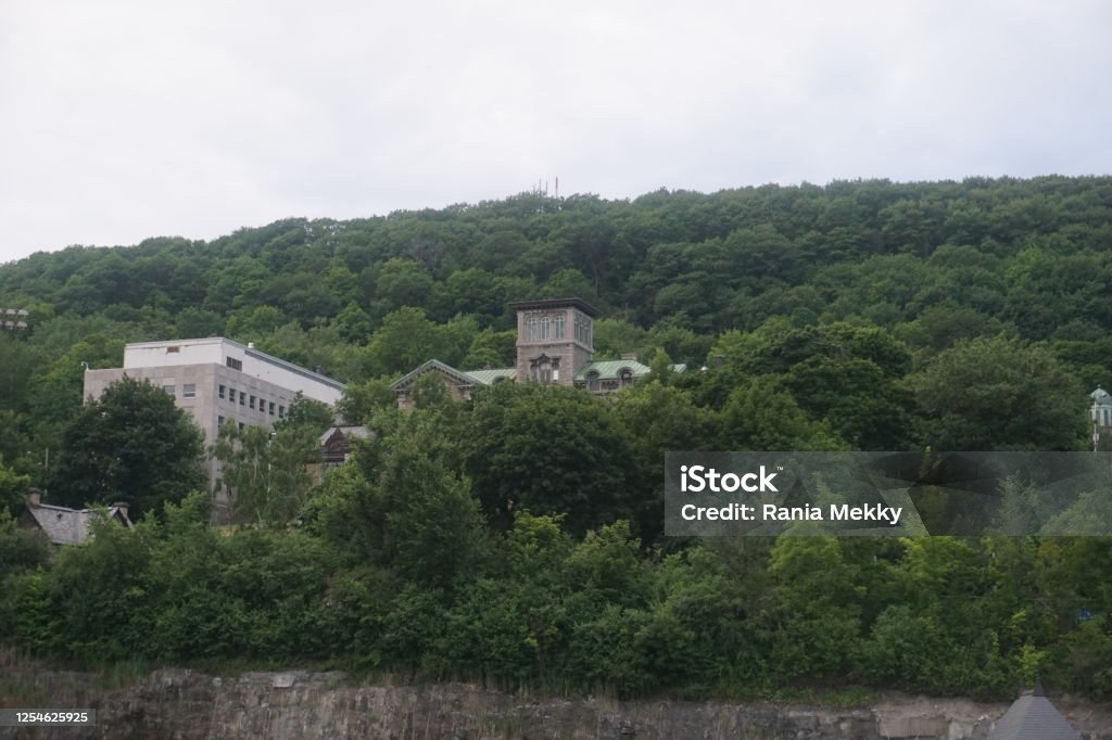 Montreal, QC/ Canada - 7/4/2020: A green mountain view. The middle is the historical building of the Allan Memorial Institute, Department of Psychology, Royal Victoria Hospital, McGill University. McGill University Stock Photo