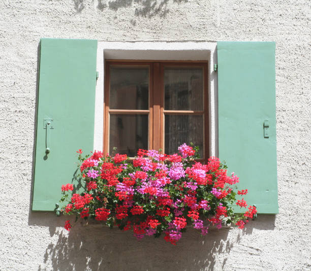 istock Window box of flowers 1254629637