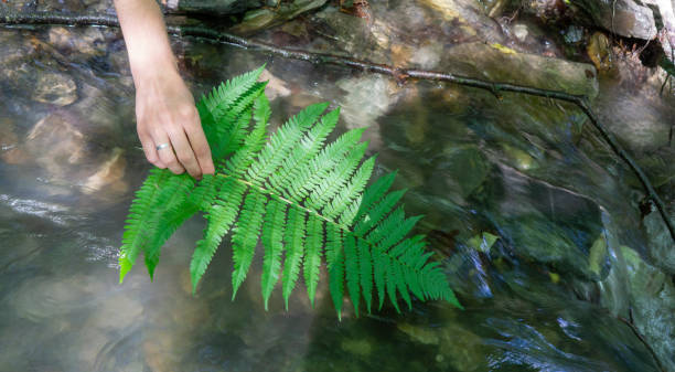 istock Girls in the forest. 1254630318