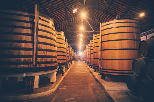 Barrels in the wine cellar, Porto, Portugal