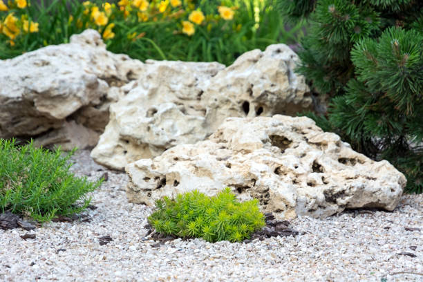 Flowerbed with stones and bushes as a decorative elements. stock photo